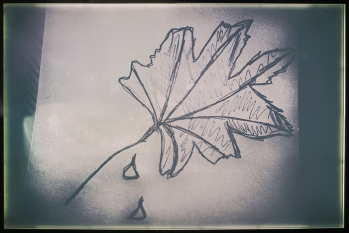 The-dead-leaf.jpg