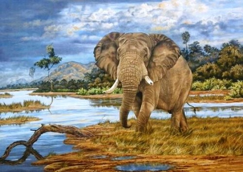 In the landscapes of Kariba the biggest of all the African wildlife roams freely. 
With plenty of water and grazing land for wildlife this area still stands a paradise of this, a magnificent bull, and many of the African wildlife 

Medium: Oils on Canvas
Size: 1420mm x 1020mm