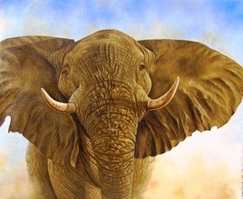 Head up, ears flapping, stand tall with a bit of some dust flying is a tactic sure to send any would be intruder to fly away for their lives.

 Medium: Oils on Canvas

Size: 490mm x 400mm