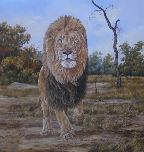 A royal look ,a royal a ttitude, and a royal role. The Lion. The King of the Beast.

Medium: Oils on Canvas

Size: 855mm x 900mm